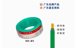 NH-BVEBET易博电缆